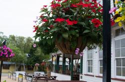 Outside dining at The Yungaburra Hotel