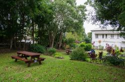 Garden picnics and brews